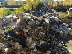 «Вонь стоит невыносимая»: мусор из челябинских дворов свезли на окраину города