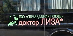 Возбуждено дело в отношении руководства "Справедливой помощи Доктора Лизы"