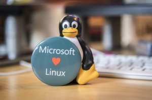 Компания Microsoft присоединилась к инициативе по защите Linux от патентных претензий