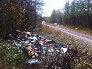 Активисты ОНФ в Коми обнаружили крупную свалку у реки Вычегда в Усть-Вымском районе