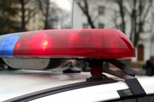 Под Петербургом чиновники из-за погони выкинули взятку на трассу