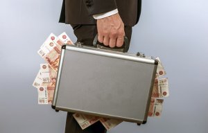 Госдума приняла закон о добровольном отказе от депутатских пенсий