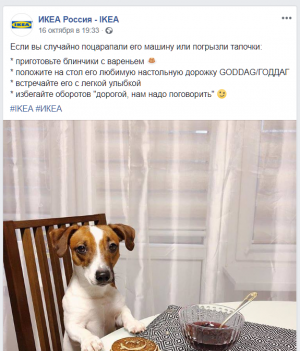 SMMщики IKEA замаскировали сексизм и мизогинию смешной собачкой. За пару дней их смогли убедить, что так делать не надо