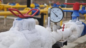 Депутат Рады заявил, что на Украине могут замерзнут целые города
