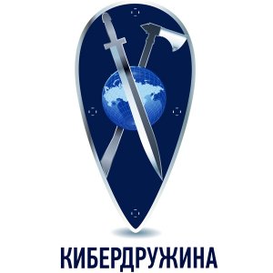 В Госдуме подготовили законопроект о кибердружинах