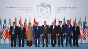 Анкара призвала страны D-8 перейти на нацвалюту в торговле