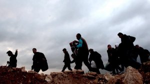 В Австрии сообщили об угрозе прорыва в ЕС 20 тыс. вооруженных мигрантов