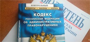 Дума одобрила аресты за вовлечение детей в митинги