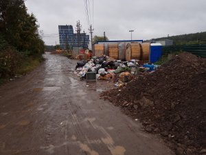 Эксперты ОНФ добились ликвидации двух свалок в Новой Москве