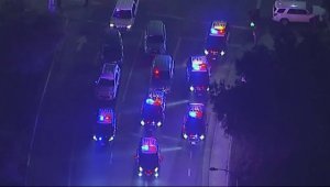 В Калифорнии при стрельбе в баре погибли одиннадцать человек