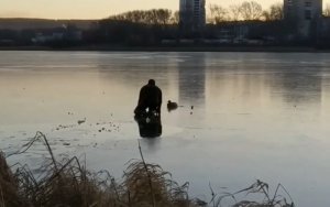 Екатеринбуржец прополз по тонкому льду Исети, чтобы освободить вмёрзшую утку