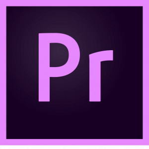 Из-за ошибки в Adobe Premiere Pro пользователь лишился тысяч ценных файлов.