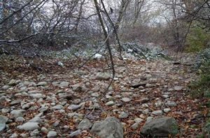 Осень не помогла: в Крыму заканчивается вода