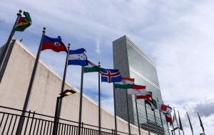 Комитет ООН поддержал проект резолюции РФ по ликвидации расизма