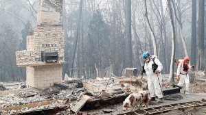 В Калифорнии из-за пожаров пропало без вести более тысячи человек