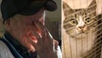 Шведские социальные службы разорили 91-летнего старика