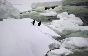 Ученые обнаружили, что Антарктида тает из-за скрытого геотермального источника тепла