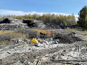 В Кирсе обнаружена свалка отходов от лесопилки площадью в несколько футбольных полей