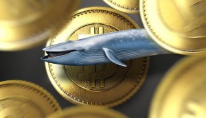 Курс биткоина упал ниже 4000 долларов впервые с сентября 2017 года