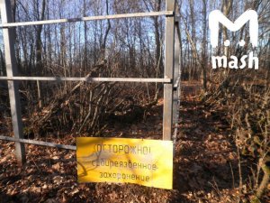 В Нижегородской области украли забор от скотомогильника
