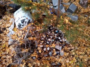 На поле у села Рябово в Кировской области складировали опасные ветеринарные отходы