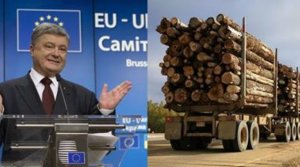ЕС призвал Украину отменить мораторий на экспорт необработанной древесины
