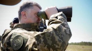 Украинский кризис военно-политических оценок