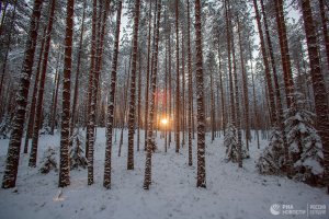 В Хабаровском крае трехлетний ребенок смог в одиночку выбраться из тайги ( ....мальчик прошел около трех километров...... в ту ночь было около минус 35 градусов)