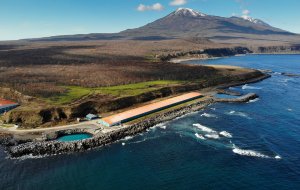 Yomiuri: Япония предложит РФ отказаться от взаимных претензий на компенсации по Курилам