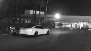 Оборудованный системой автопилота автомобиль Tesla сбил российского робота Promobot в США