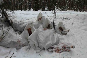 В кировском лесу нашли свалку из костей и черепов