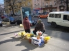 Реально получить грант для ведения бизнеса