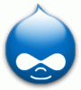 Выпущена Drupal 6.0 beta 1