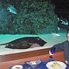 Самые необычные рестораны по всему миру