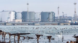В Киеве рассказали, как на Украину попадает российская нефть