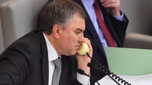 Глава госдумы РФ указал на отсутствие в Конституции должного баланса ветвей власти