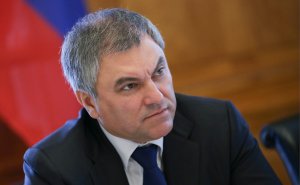 Дума попросила власти: зачем Володин хочет изменить Конституцию