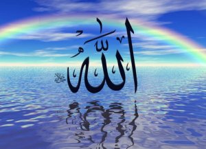 Мусульмане увидели слово «аллах» на туалетной бумаге и обиделись