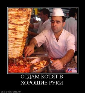 Владелец киоска с шаурмой рассказал, почему ею отравились 19 человек