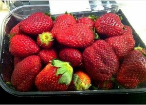 На Кубани собрали первый в году урожай клубники