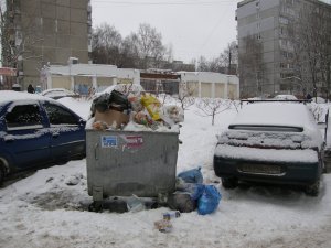 Мусорная реформа утонула в отходах. Нижегородцы фотографируют переполненные баки