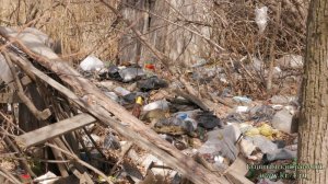 В Екатеринбурге обсуждают карту помоек, где можно бесплатно поесть