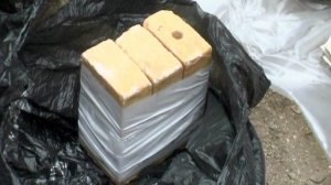 Россиянка пыталась взять кредит в Сбербанке на покупку тротила