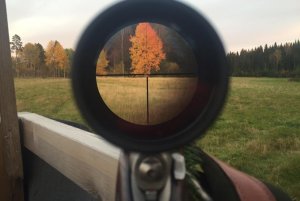 Во Львове у военных украли подаренную США оптику за 4,5 миллиона гривен