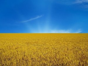 Верховная рада Украины одобрила закон о переименовании Днепропетровской области в Сичеславскую