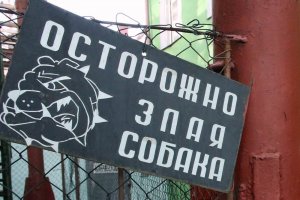Суд разрешил домашним собакам кусать незваных гостей