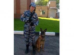 В Подмосковье за расстрел полицейской собаки задержан экс-прокурор