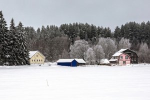 В Госдуме заговорили о смерти российских деревень