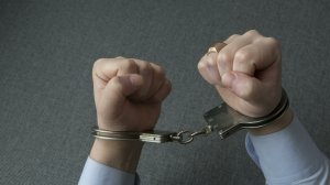 "Теперь бы выкинуть либералов из правительства": Реакция экспертного сообщества на задержание "порядочного инвестора" Майкла Калви
