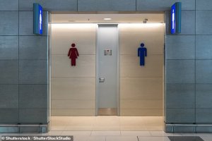 "Нам страшно!" Британские школьницы пожаловались на унисекс-туалеты